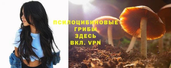 мдпв Карталы