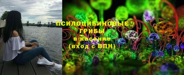 дурь Карпинск