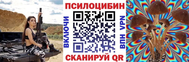 Галлюциногенные грибы Psilocybine cubensis  Купить закладки  Зеленоградск 